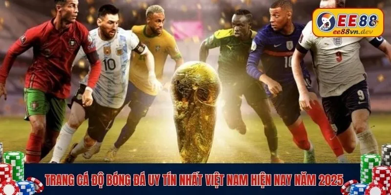 trang cá độ uy tín nhất Việt Nam